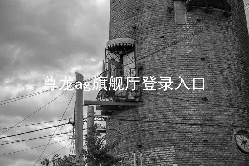 尊龙ag旗舰厅登录入口