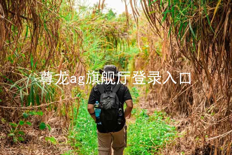 尊龙ag旗舰厅登录入口