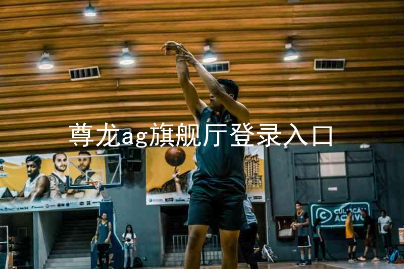 尊龙ag旗舰厅登录入口